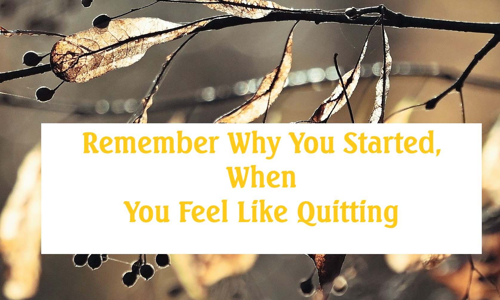 Remember Why You Started, When You Feel Like Quitting