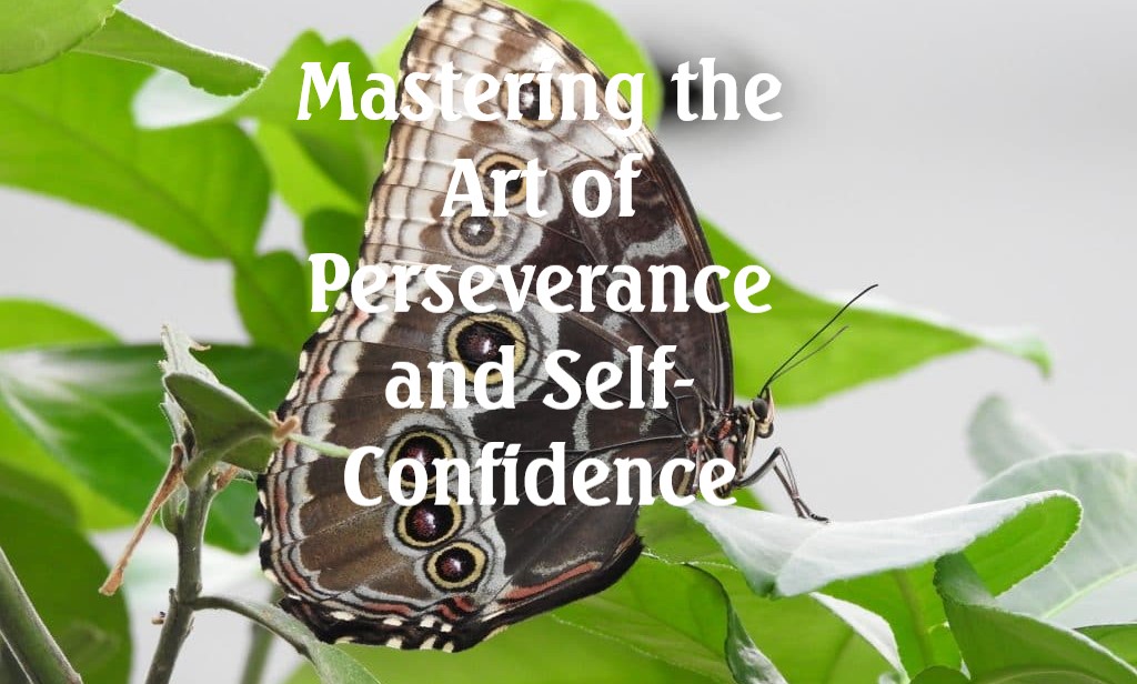 Mastering the Art of Perseverance and Self-Confidence