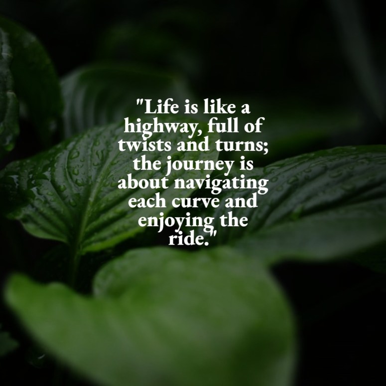 Life is Like a Highway: Navigating the Journey