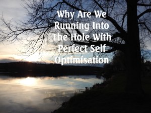 Why Are We Running Into The Hole With Perfect Self-Optimisation