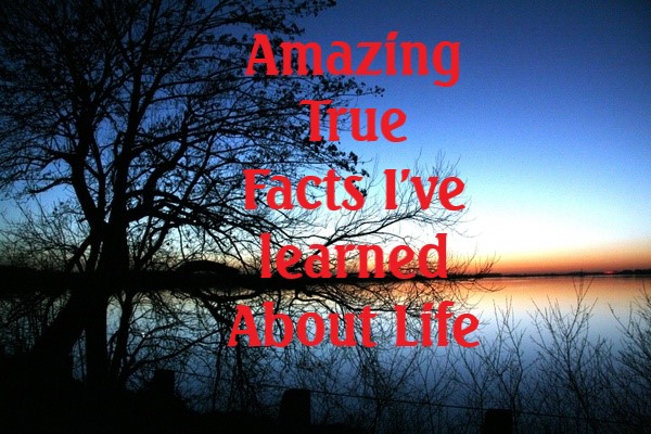 Amazing True Facts I've Learned About Life