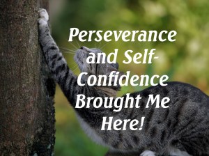 Perseverance and Self-Confidence Brought Me Here.