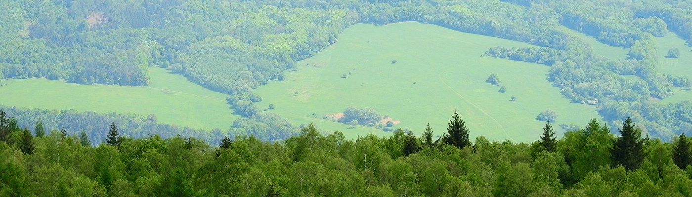 Growth Attitude: A Perspective Of Success Towards A Fulfilling Life