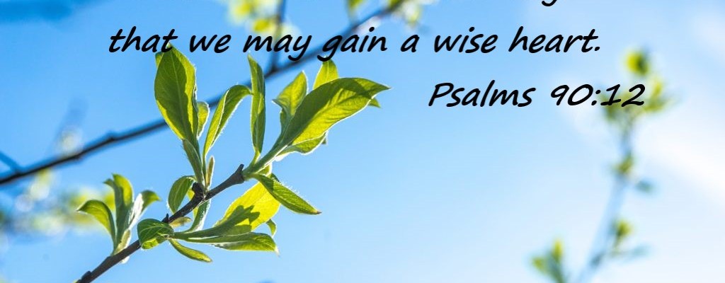 Focus and Make Everyday Count