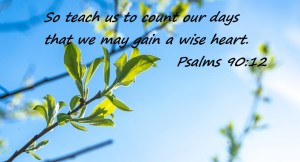 Focus and Make Everyday Count