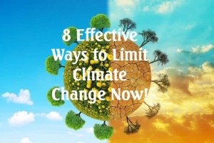 8 Effective Ways to Limit Climate Change Now!