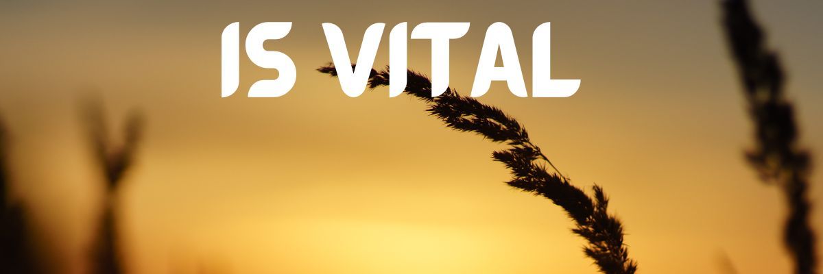 Why Forgiveness Is Importance in Personal Growth