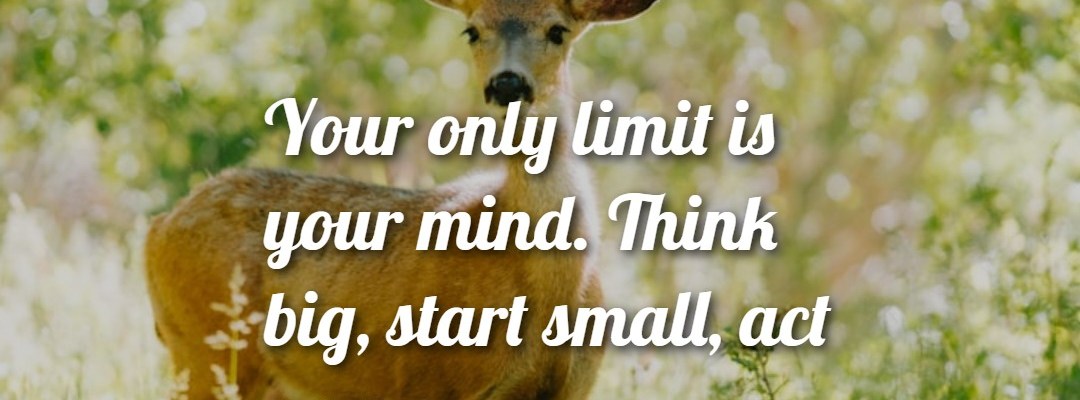 Your Only Limit Is Your Mind. Think Big And Act Now