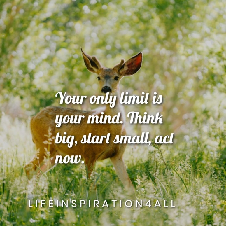 Your Only Limit Is Your Mind. Think Big And Act Now