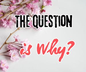 The Question is Why?