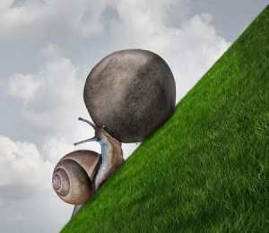 Never Stop: Just Keep On Moving And Improving