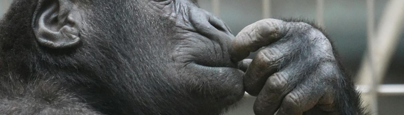 What to Watch? Your Ultimate Guide to Must-See Movies and Shows